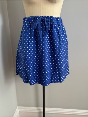 J. Crew Blue Polka Dot Drawstring Skirt